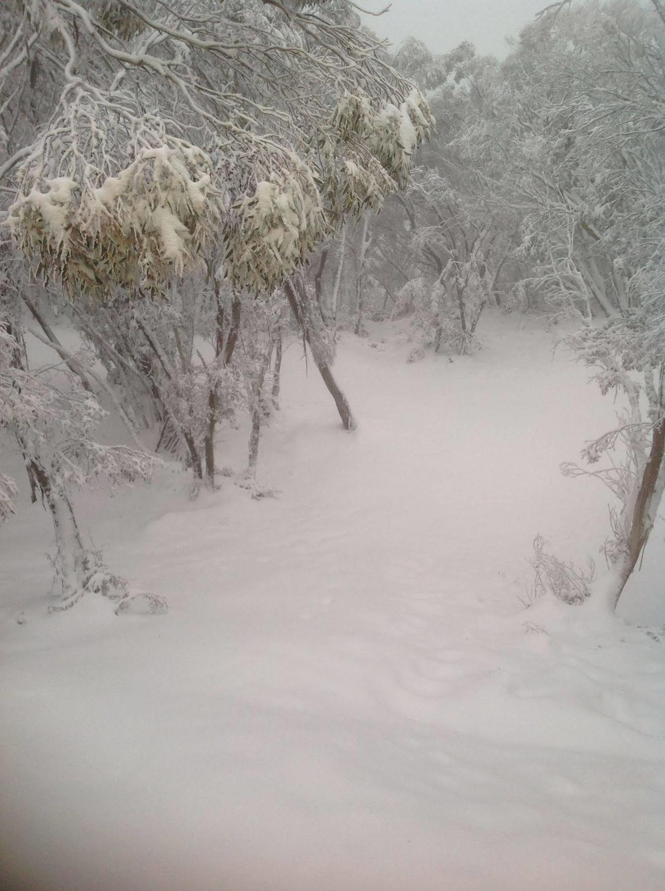 Terama Ski Lodge Mount Buller Exterior foto